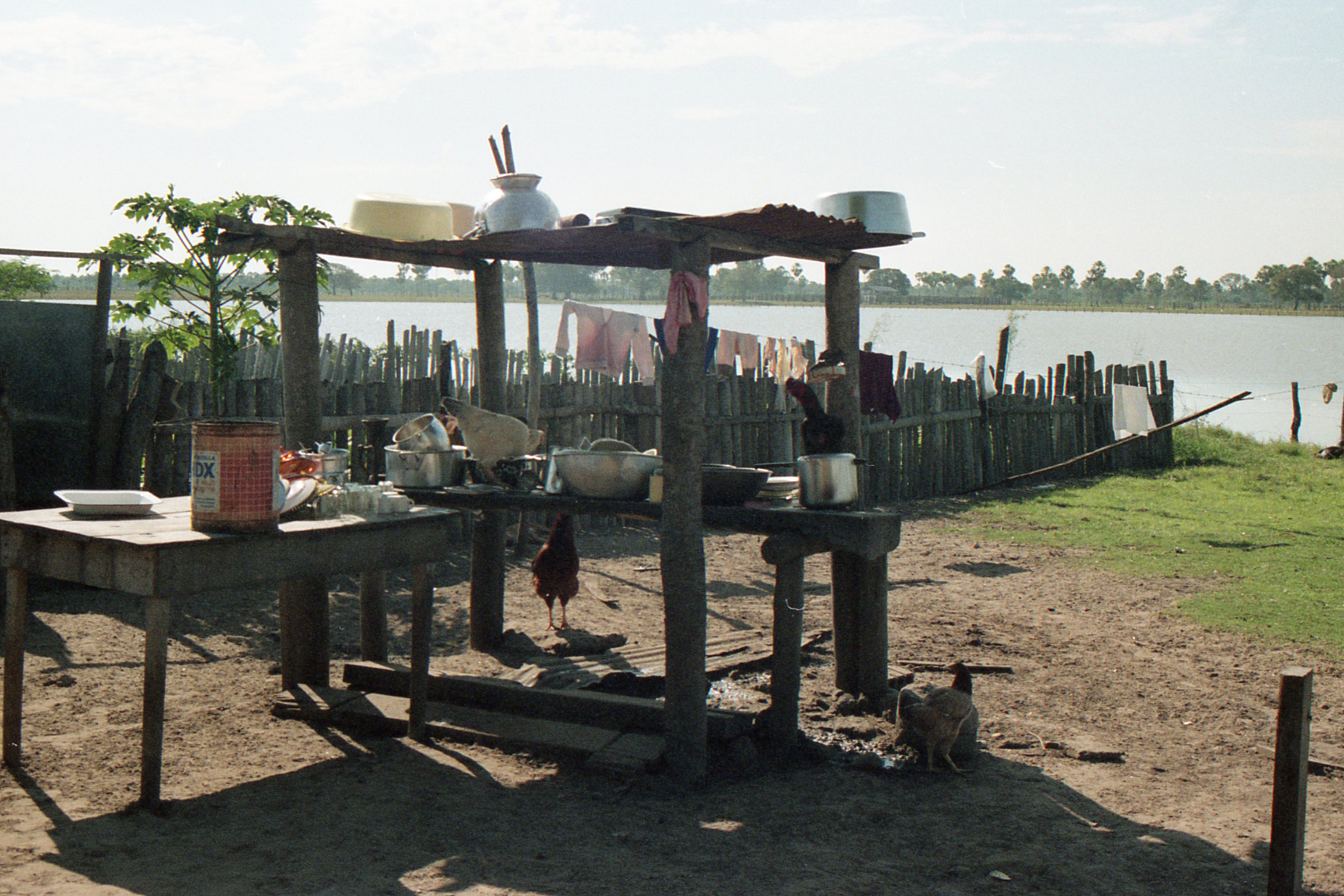 Pantanal